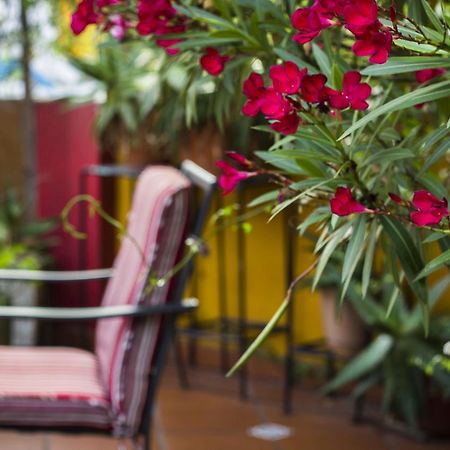 Abode Buenos Aires Bed and Breakfast Eksteriør billede